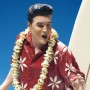 Elvis Presley 6 - Blue Hawaii (studio)