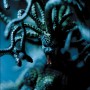 Medusa (studio)
