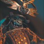 Jackal assassin (studio)