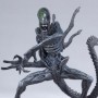 Grid Alien 12-inch (studio)