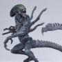 Alien Vs. Predator: Grid Alien 12-inch