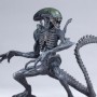 Grid Alien 12-inch (studio)