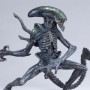 Grid Alien 12-inch (studio)
