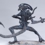 Grid Alien 12-inch (studio)