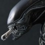 Alien (studio)