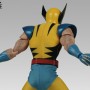 Wolverine (studio)