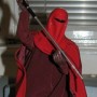 Royal Guard (realita)