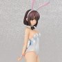 Megumi Kato Bare Legs Bunny