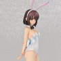 Megumi Kato Bare Legs Bunny