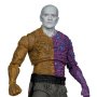 Metamorpho