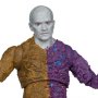 Metamorpho