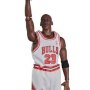 Michael Jordan Chicago Bulls HOME