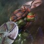 Michelangelo