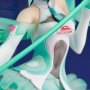 Racing Miku 2017