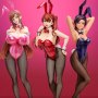 Minako Sanada Bare Leg Bunny