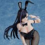 Minami Kurose Black Bunny
