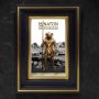 Minaton Special (Ray Harryhausen 100th Anni)