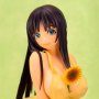 Misaki Shie Natsukusa Hitonatsu