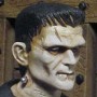Frankenstein - Boris Karloff (studio)
