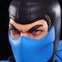 Sub-Zero (Pop Culture Shock) (studio)