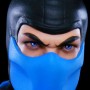 Sub-Zero (studio)