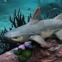 Mosasaurus Wonders Of Wild Series DX