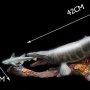 Mosasaurus Wonders Of Wild Series DX