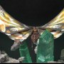 Mothra Bonus Edition