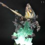 Mothra Bonus Edition