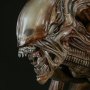 Mythos Alien Warrior (Sideshow)