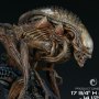 Mythos Alien Warrior (Sideshow)