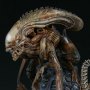 Mythos Alien Warrior