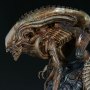 Mythos Alien Warrior (Sideshow)