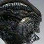 Mythos Xenomorph Parasite (Sideshow)