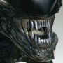 Mythos Xenomorph Parasite (Sideshow)