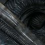 Mythos Xenomorph Parasite (Sideshow)