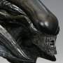 Mythos Xenomorph Parasite (Sideshow)