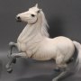 Napoleon White War Horse Prancing