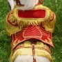 Napoleon White War Horse Prancing