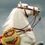 Napoleon White War Horse Prancing