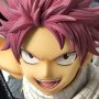 Natsu, Erza, Gray & Happy Prisma Wing Deluxe Bonus Edition