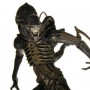 Alien 2: Alien Warrior 1