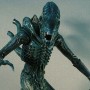 Alien Warrior 1 (realita)