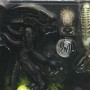 Alien 1: Alien And Predator
