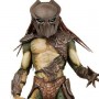 Predators: Falconer Predator