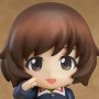 Nendoroid Petite 11-SET