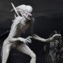 Neomorph
