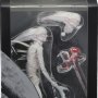 Neomorph