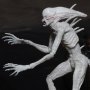 Neomorph