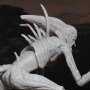 Neomorph